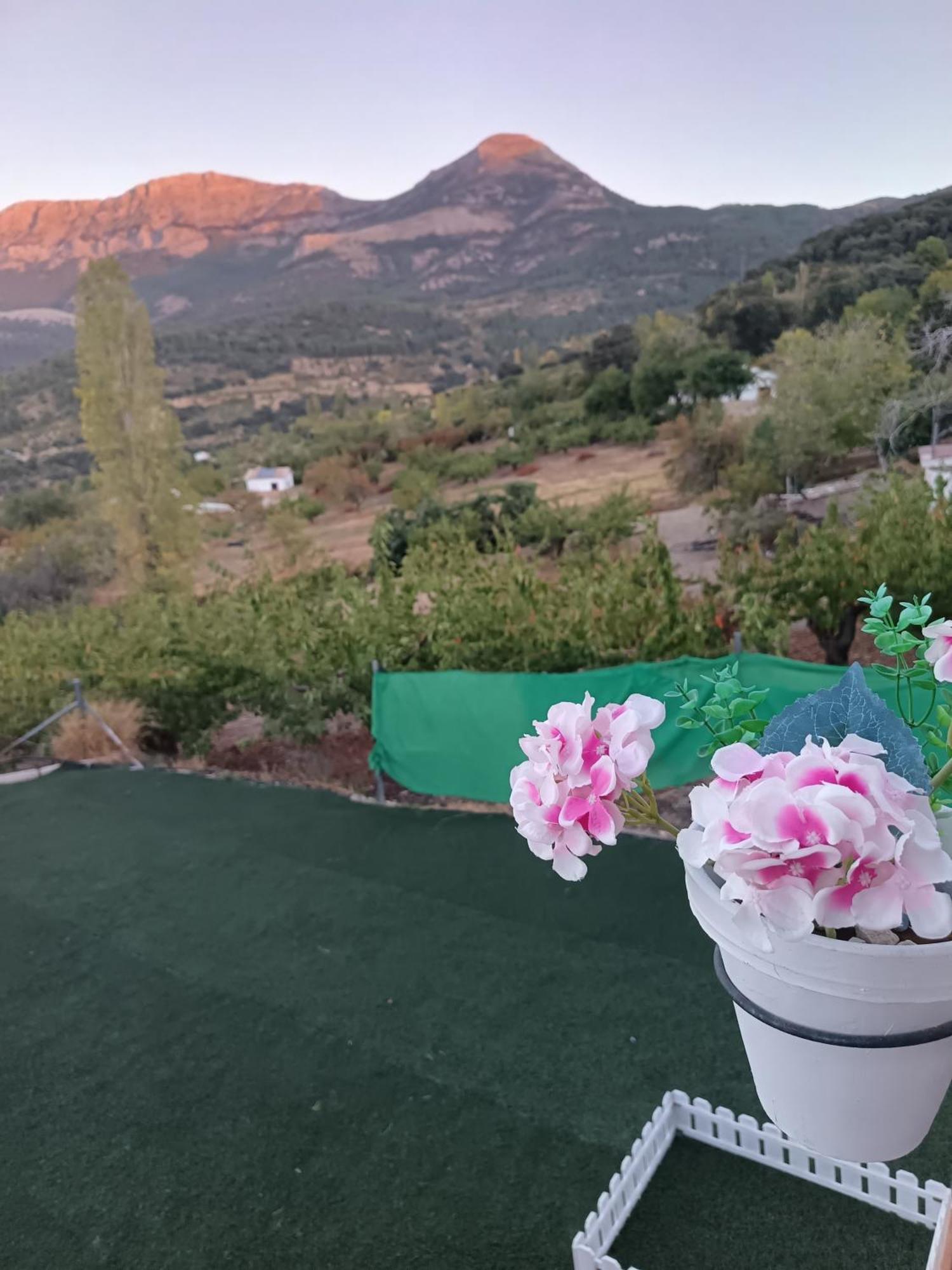 Los Cabales Torres  Екстериор снимка